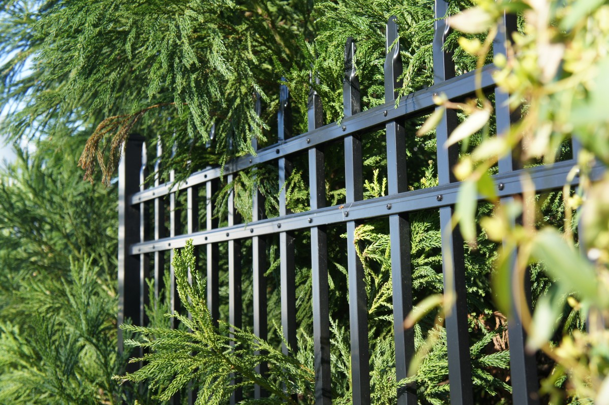 Beautiful fence installation