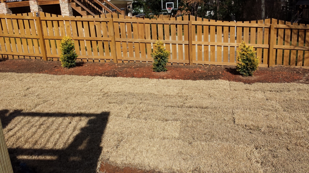 Wood fence project 3